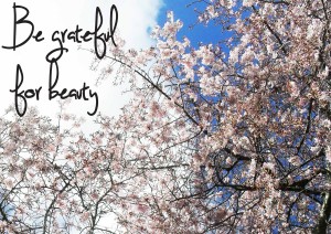 Be grateful for beauty